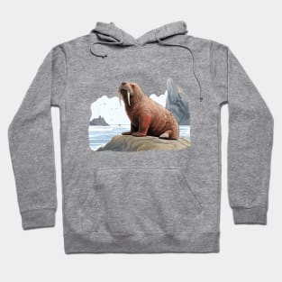 Walrus Hoodie